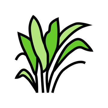 amazon sword color icon vector. amazon sword sign. isolated symbol illustration