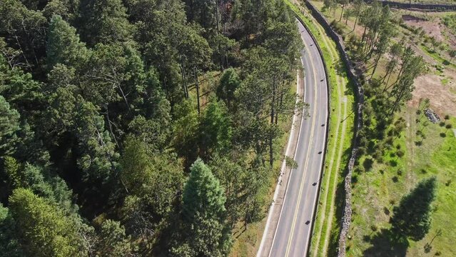 Drone captures the aerial view of Forest road in Tlaxcala Mexico covered with thick green vegetation and multiple tree on both sides.