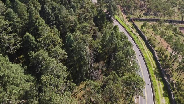 A truck full of logs is seen travelling down a hill covered forest road in Tlaxcala, Mexico, which is completely covered in lush greenery.