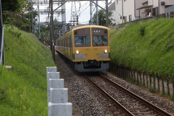 Naklejka premium 西武鉄道101系