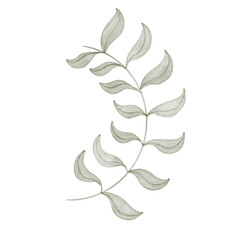 leaf in watercolor