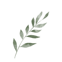 leaf in watercolor