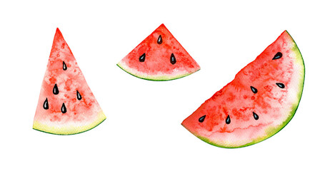 Watercolor slices of watermelon isolated on white background