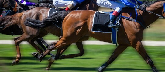 Symbolbild: Pferderennen (Galopp) © U. J. Alexander