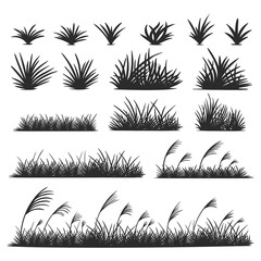 Grass silhouette collection vector illustration