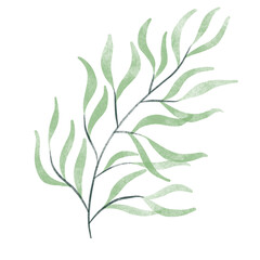 leaf in watercolor