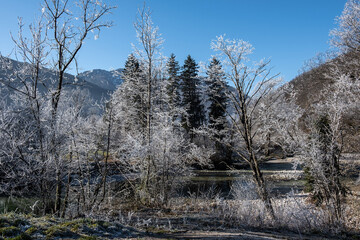 Winter morning on the lake. Triglav National Park. Julian Alps in Slovenia, Europe