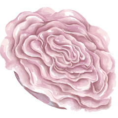 Obraz premium Flowers and leaves illustration collection For decorations, card designs, weddings, digital prints, bags, t-shirt designs, canvas prints, frames and more.