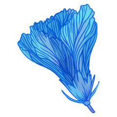 Watercolor flower, Blue flora clipart.