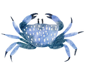 Crab watercolor with transparent background