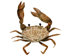 Crab watercolor with transparent background