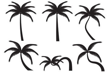 Obraz premium Vector illustration. Palm shadows for design. Palm trees for banner posters. Black palm trees and white background. A coconut tree with both straight and curved trees. isolated