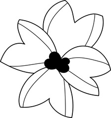 forest fern eucalyptus art foliage natural
leaves herbs inline style. Decorative beauty, elegant illustration