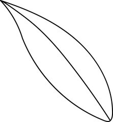 forest fern eucalyptus art foliage natural
leaves herbs inline style. Decorative beauty, elegant illustration