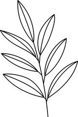 forest fern eucalyptus art foliage natural
leaves herbs inline style. Decorative beauty, elegant illustration