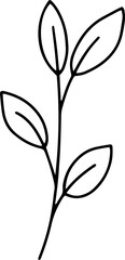 forest fern eucalyptus art foliage natural
leaves herbs inline style. Decorative beauty, elegant illustration