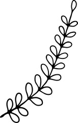 forest fern eucalyptus art foliage natural
leaves herbs inline style. Decorative beauty, elegant illustration