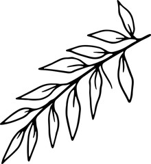 forest fern eucalyptus art foliage natural
leaves herbs inline style. Decorative beauty, elegant illustration