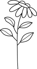 forest fern eucalyptus art foliage natural
leaves herbs inline style. Decorative beauty, elegant illustration 