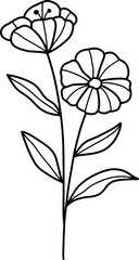 forest fern eucalyptus art foliage natural
leaves herbs inline style. Decorative beauty, elegant illustration 