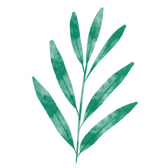leaf in watercolor