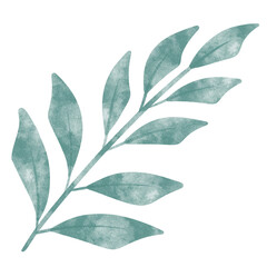 Naklejka premium leaf in watercolor