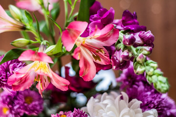 Fototapeta premium Delicate blossoming pink flowers, blooming background, flower bouquet pastel image, soft petal. Magenta peruvian lily alstroemeria.