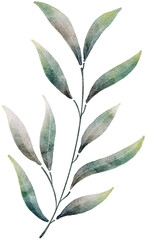 Naklejka premium Leaf watercolor transparency for decoration.