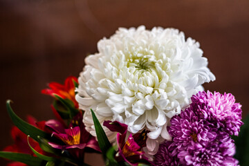White Fresh Flowers Crisanthemum Close Up. Copy space for text. High resolution beautiful flowers bouquet. 