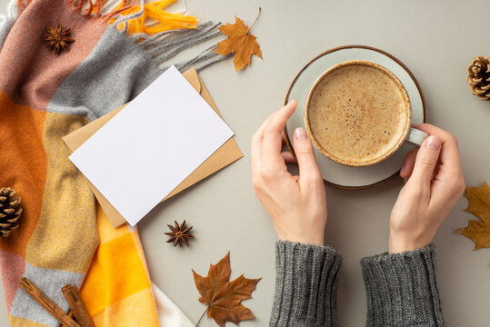 First person top view photo of woman's hands in pullover holding cup of cocoa on saucer envelope paper card scarf maple leaves pine cones anise cinnamon sticks isolated grey background with copyspace