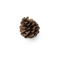 Pine cone cutout, Png file.