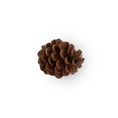 Pine cone cutout, Png file.