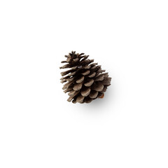 Pine cone cutout, Png file.