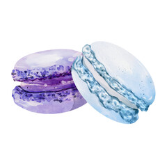Watercolor macaroons isolated on white background. Hand drawn watercolor illustration