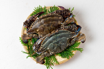 新鮮なワタリガニ