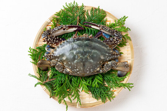 ワタリガニ の画像 2 043 件の Stock 写真 ベクターおよびビデオ Adobe Stock