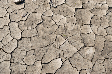 Dried and cracked mud