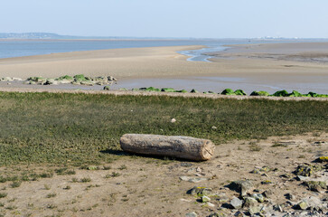 Flint foreshore at low tide