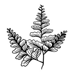Leaf line art, leaves clipart.