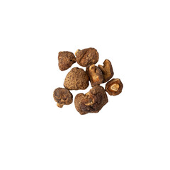 Shiitake mushroom cutout, Png file.