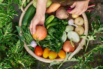 Top view of basket with many different vegetables herbs with farmer hands