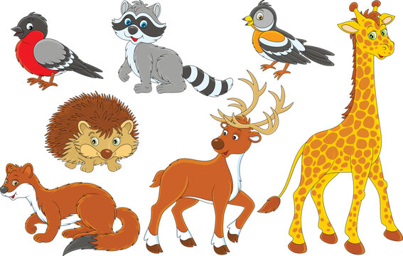 Vector cartoon set of a bramble finch, raccoon, reindeer, hedgehog, giraffe, ermine and bullfinch