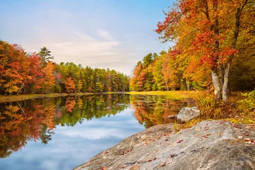 Wall murals Reflection Beautiful autumn foliage reflected in still lake water in New England