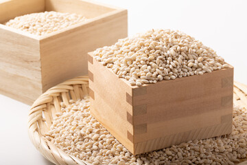 発芽玄米　(秋田県産　あきたこまち)