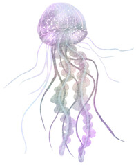 Jellyfish watercolor,marine life with transparent background © jenjira
