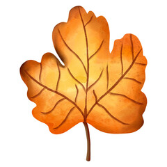 Autumn Watercolor Maple leaves, Autumn or Fall Animal, Watercolor illustration