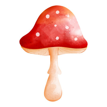 Autumn Watercolor mushroom, Autumn or Fall Animal, Watercolor illustration