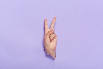 Person's hand showing victory sign, two-finger right hand gesture on purple background with torn...