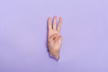 Indoor shot of human's hand sticks out of hole in paper isolated on purple background. Three finger sign, copy space for advertisement.