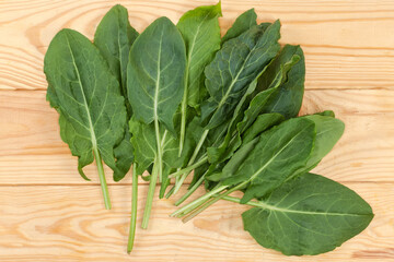 Leaves of the garden sorrel on a rustic table